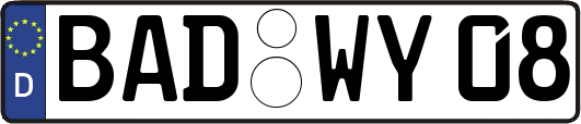 BAD-WY08