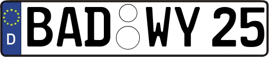 BAD-WY25