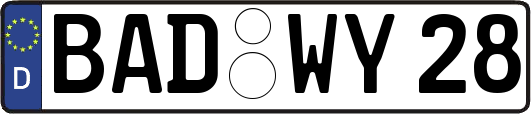 BAD-WY28