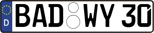 BAD-WY30
