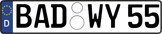 BAD-WY55
