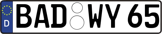 BAD-WY65