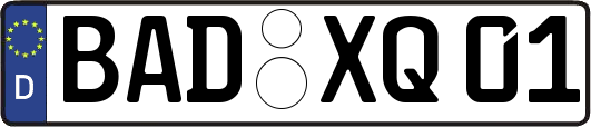 BAD-XQ01