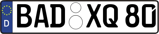 BAD-XQ80