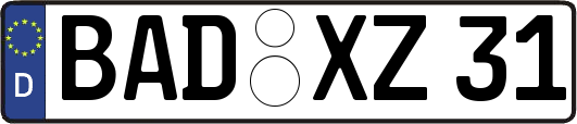 BAD-XZ31