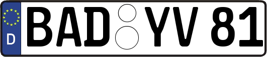 BAD-YV81