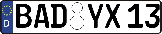 BAD-YX13
