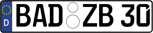 BAD-ZB30