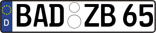 BAD-ZB65