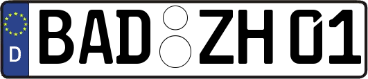 BAD-ZH01
