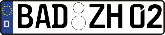 BAD-ZH02