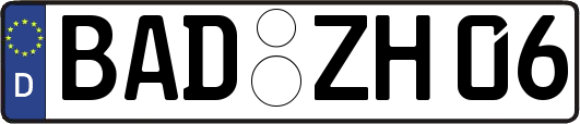 BAD-ZH06