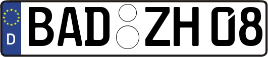 BAD-ZH08