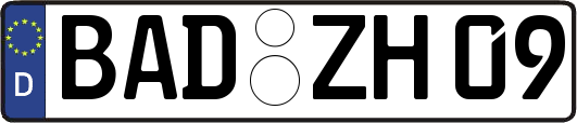 BAD-ZH09