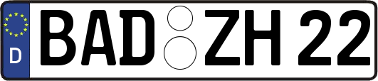 BAD-ZH22