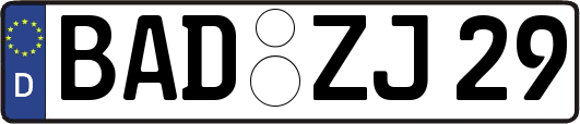 BAD-ZJ29