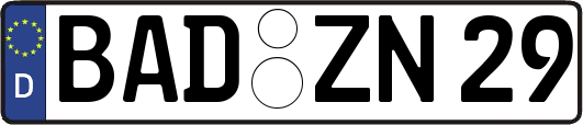 BAD-ZN29