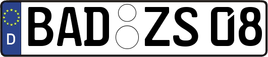 BAD-ZS08