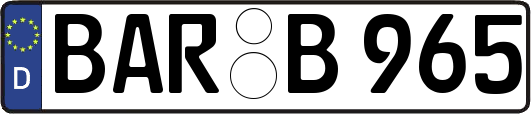 BAR-B965