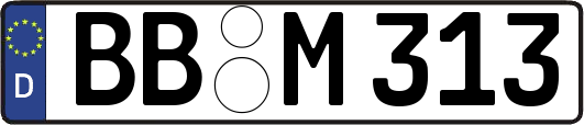 BB-M313
