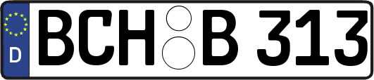 BCH-B313