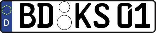 BD-KS01