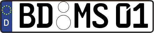 BD-MS01