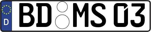 BD-MS03