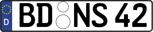 BD-NS42