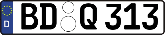 BD-Q313