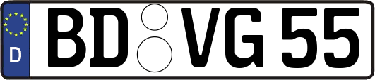 BD-VG55