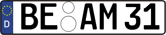 BE-AM31