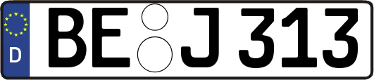 BE-J313