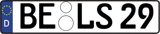 BE-LS29
