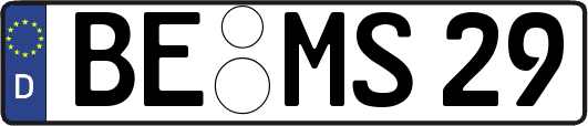 BE-MS29