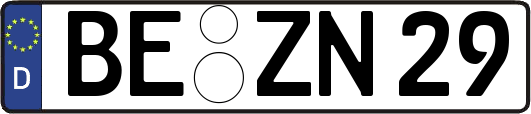 BE-ZN29