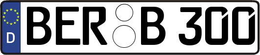 BER-B300