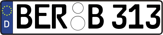 BER-B313