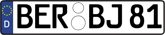 BER-BJ81