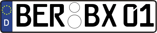 BER-BX01