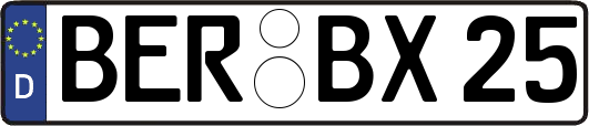 BER-BX25