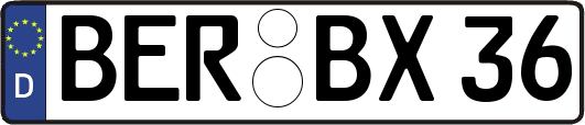 BER-BX36