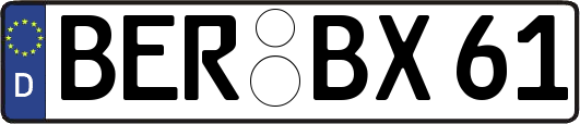 BER-BX61