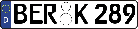 BER-K289