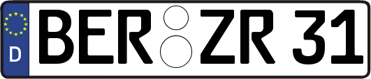 BER-ZR31