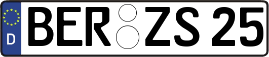 BER-ZS25