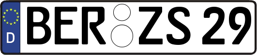 BER-ZS29