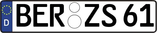 BER-ZS61