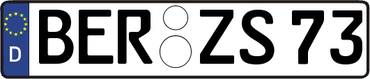 BER-ZS73