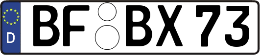 BF-BX73